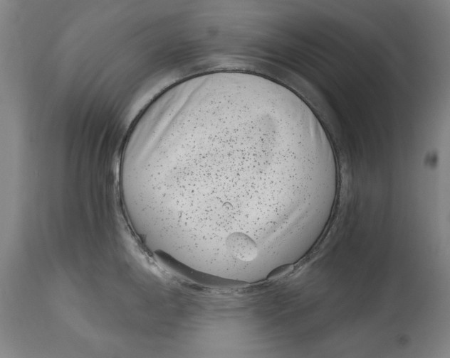 X0000115081198200911171146