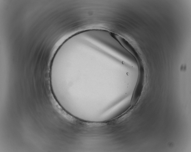 X0000115081200200911171146