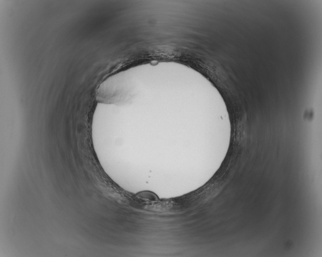 X0000115081201200911171145