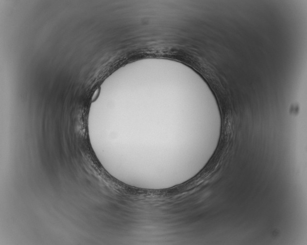 X0000115081202200911171145