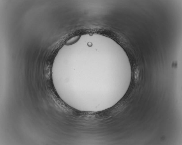 X0000115081204200911171145