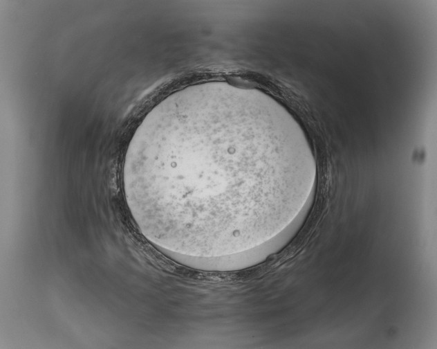 X0000115081205200911171145