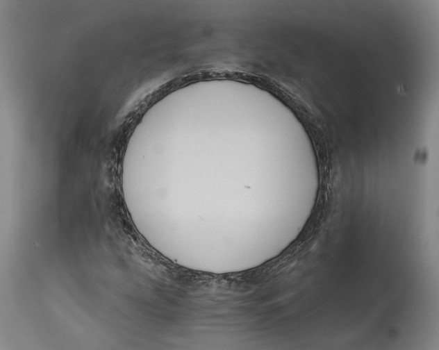 X0000115081207200911171145