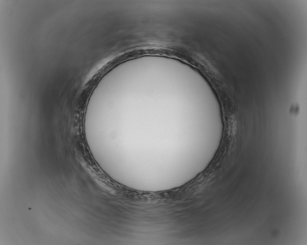 X0000115081208200911171145