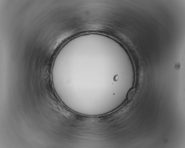 X0000115081210200911171145
