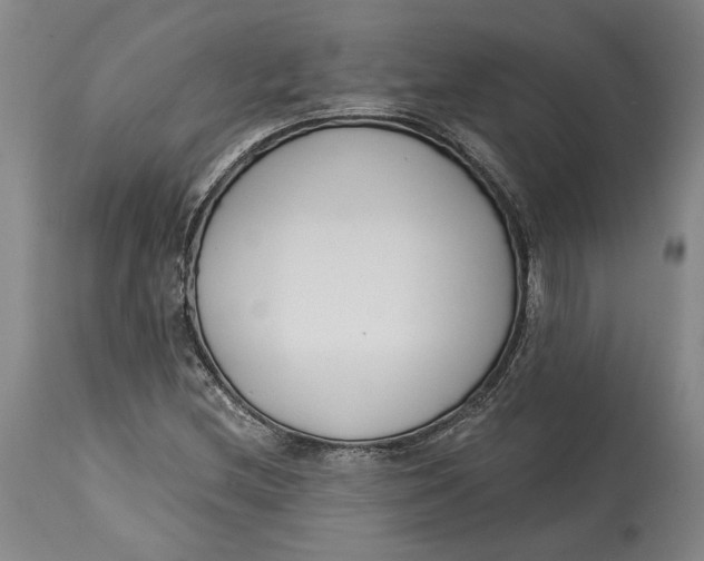 X0000115081212200911171145