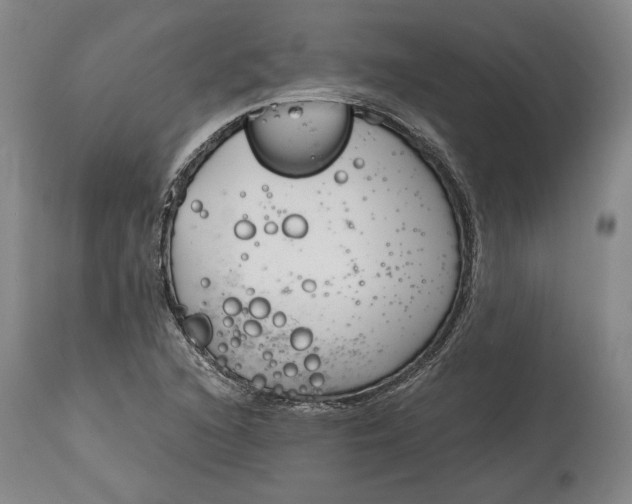 X0000115081216200911171145