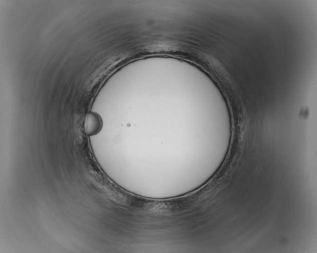 X0000115081217200911171145
