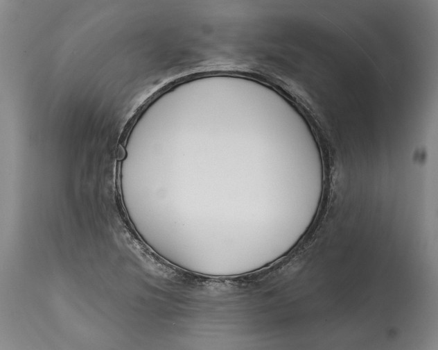 X0000115081220200911171145