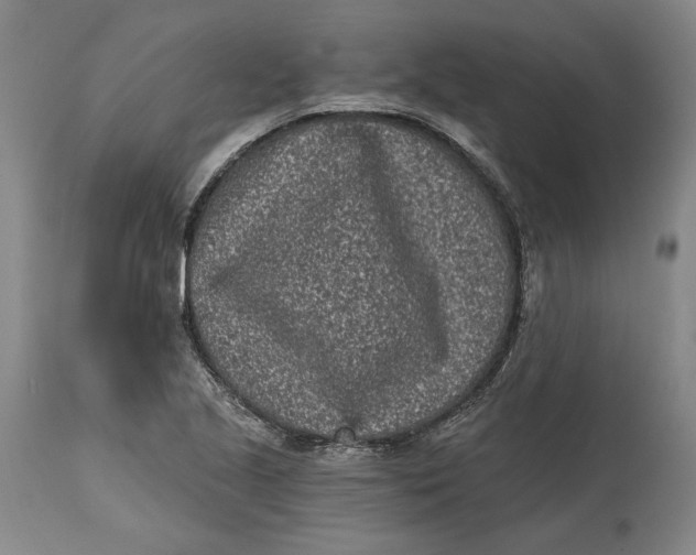 X0000115081221200911171145