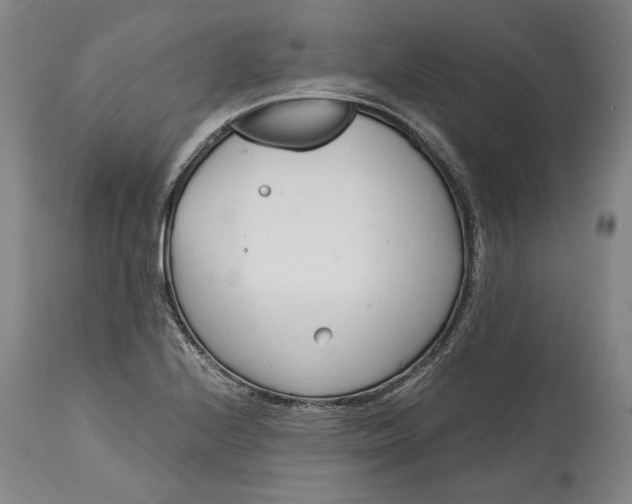 X0000115081224200911171145