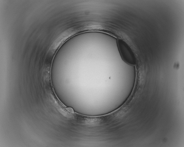 X0000115081225200911171146