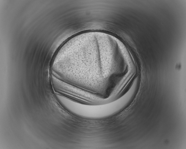 X0000115081226200911171146