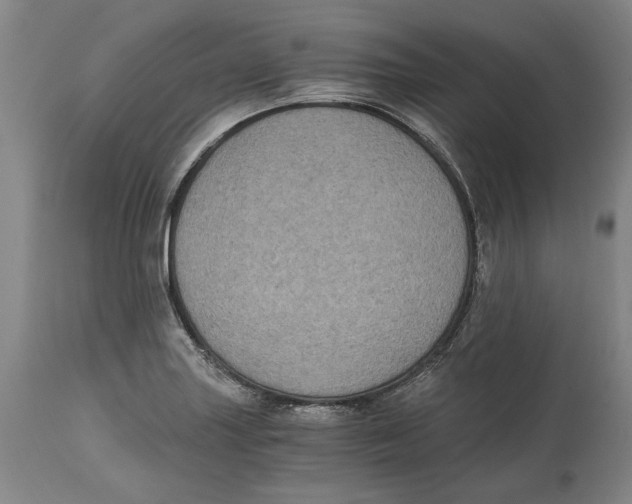 X0000115081227200911171146