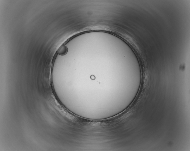 X0000115081228200911171146