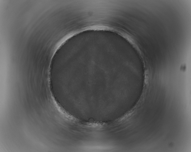 X0000115081229200911171146