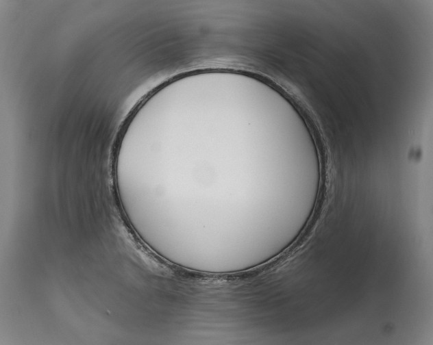 X0000115081230200911171146