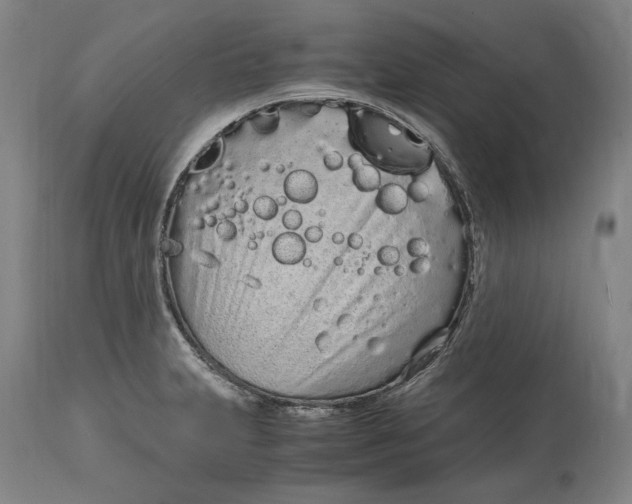 X0000115081231200911171146
