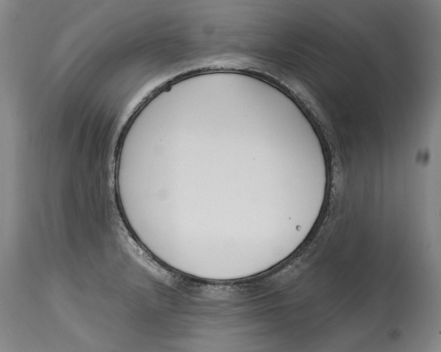 X0000115081232200911171146