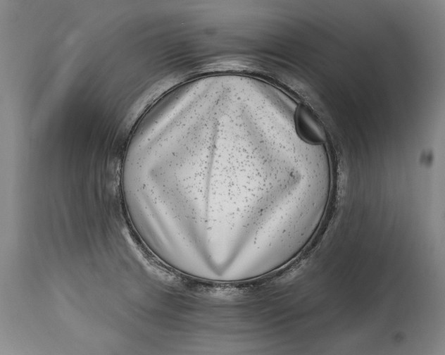 X0000115081233200911171146