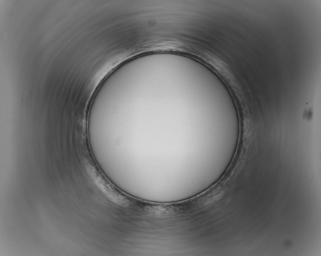 X0000115081234200911171146