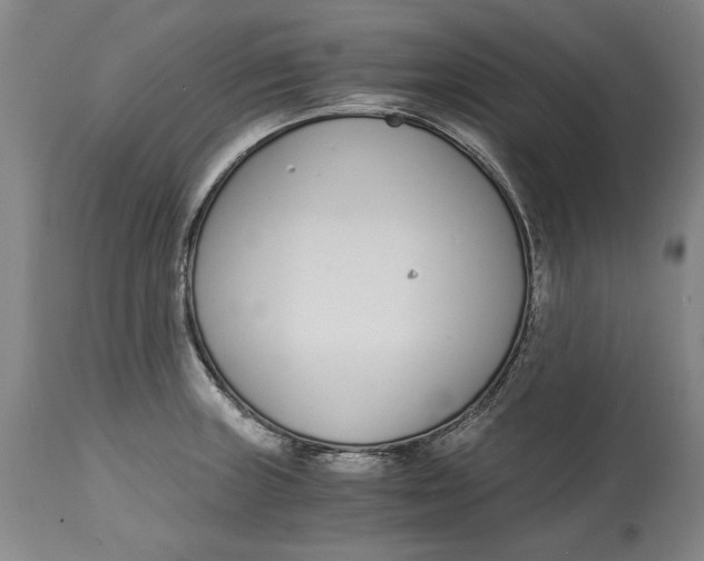 X0000115081235200911171146