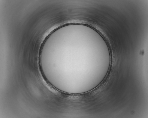 X0000115081237200911171146