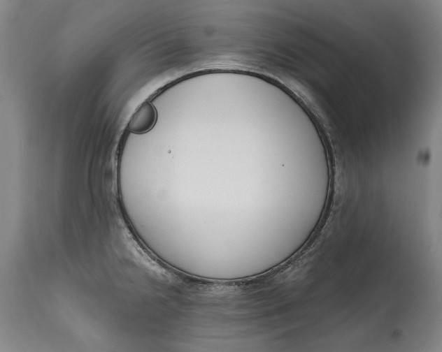 X0000115081238200911171146