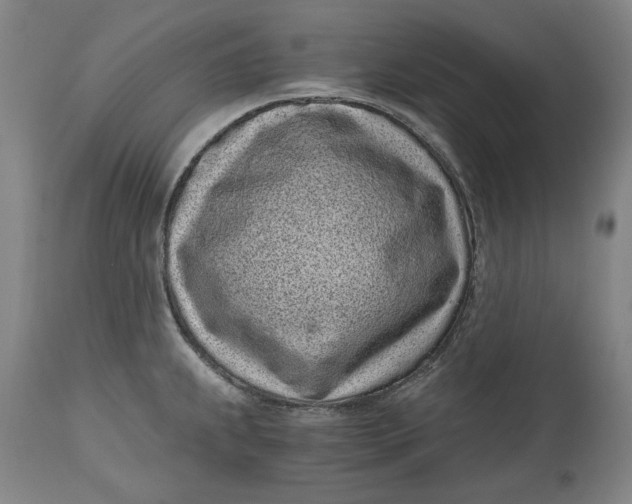 X0000115081239200911171146