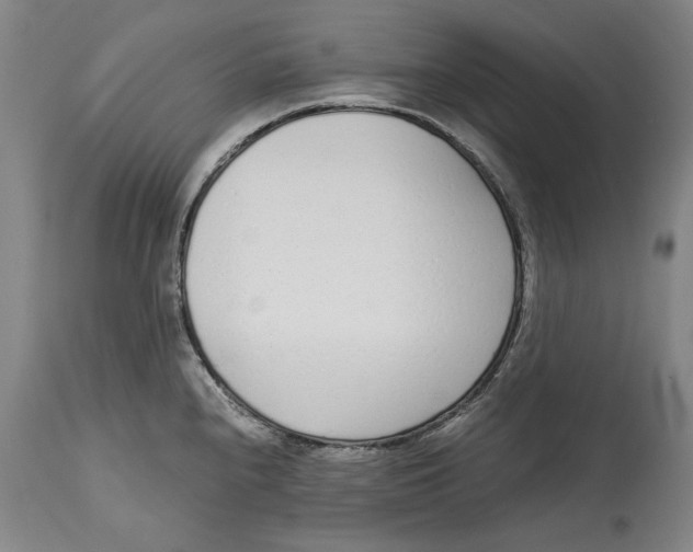 X0000115081240200911171146