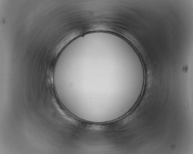 X0000115081241200911171146