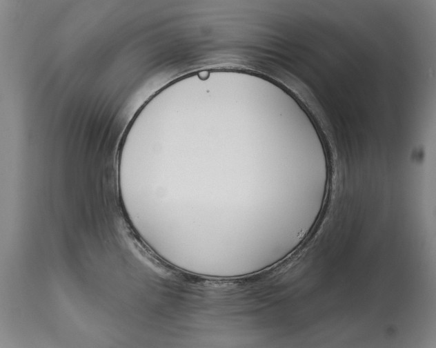 X0000115081242200911171146