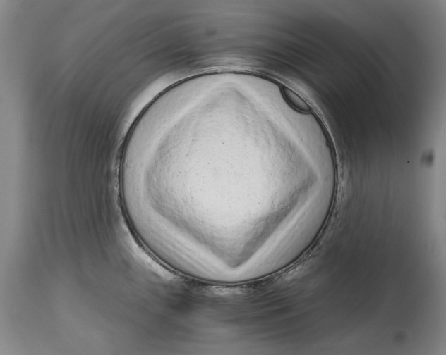 X0000115081243200911171146