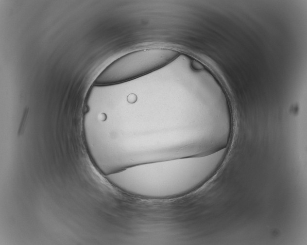 X0000115081244200911171146