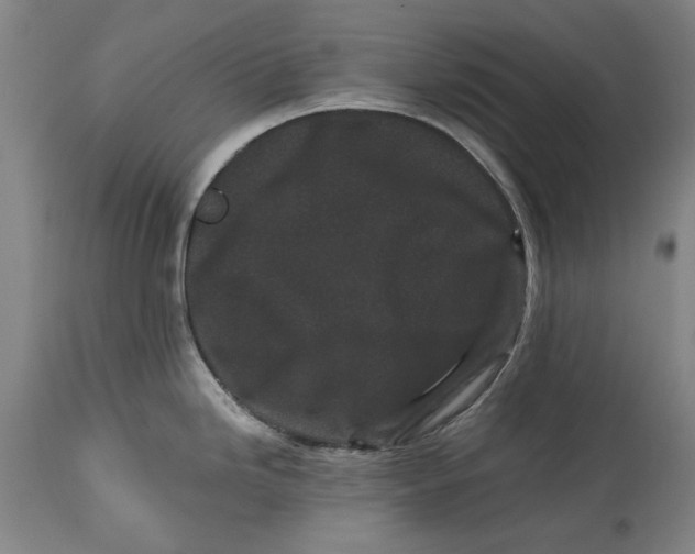 X0000115081246200911171146