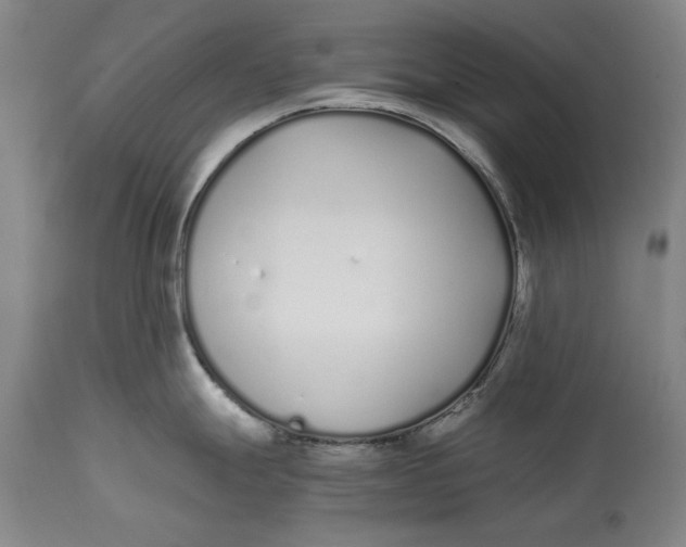 X0000115081247200911171146
