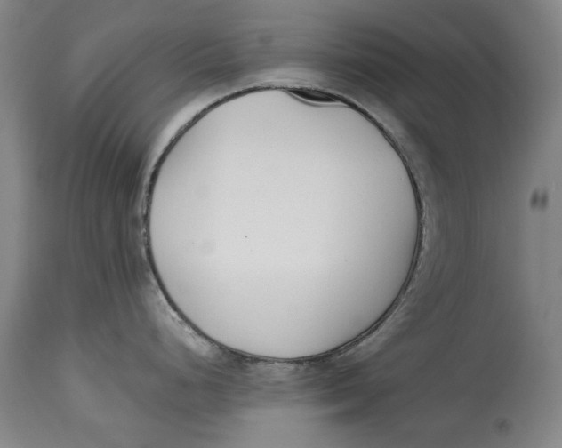 X0000115081248200911171146
