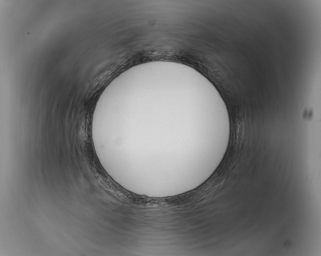 X0000115081250200911171145