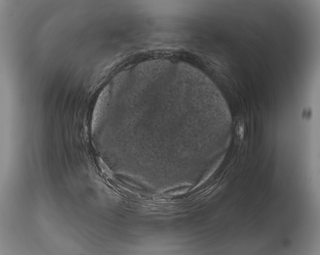X0000115081252200911171145