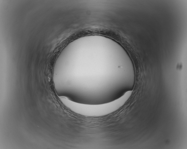 X0000115081253200911171145