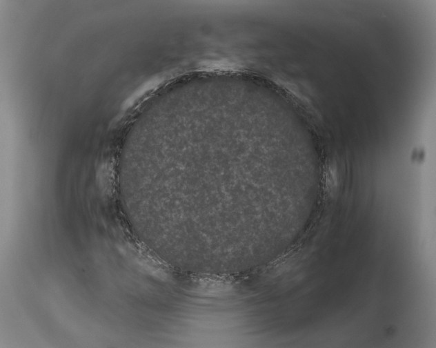 X0000115081254200911171145