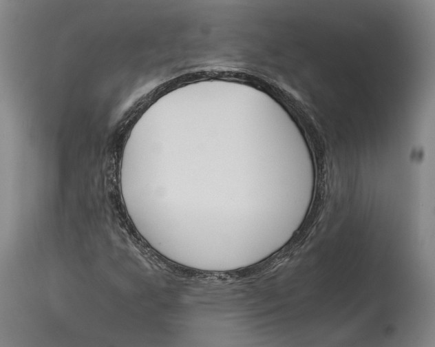 X0000115081255200911171145