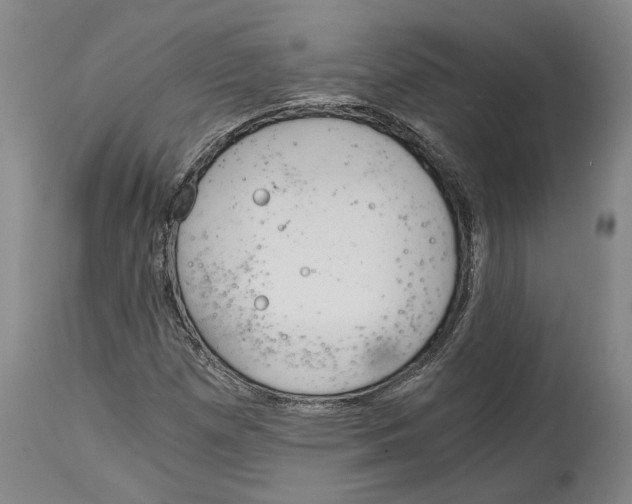 X0000115081257200911171145