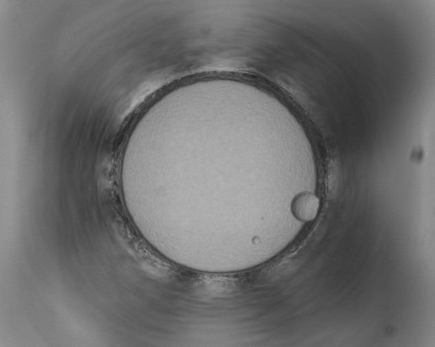 X0000115081258200911171145