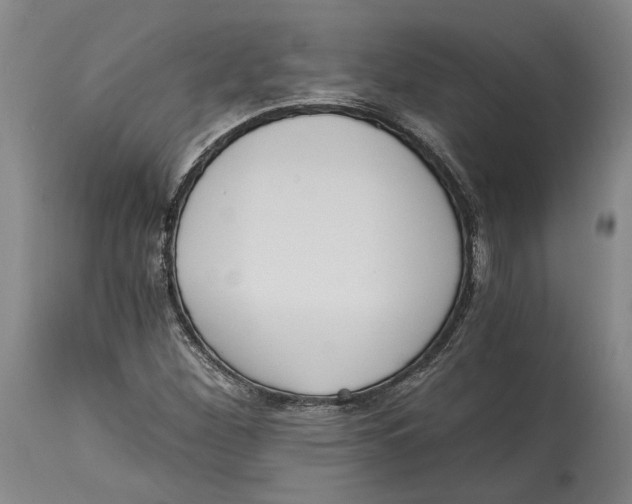 X0000115081260200911171145