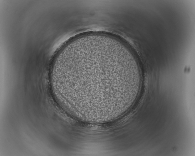 X0000115081263200911171145
