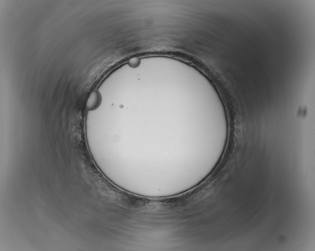 X0000115081265200911171145