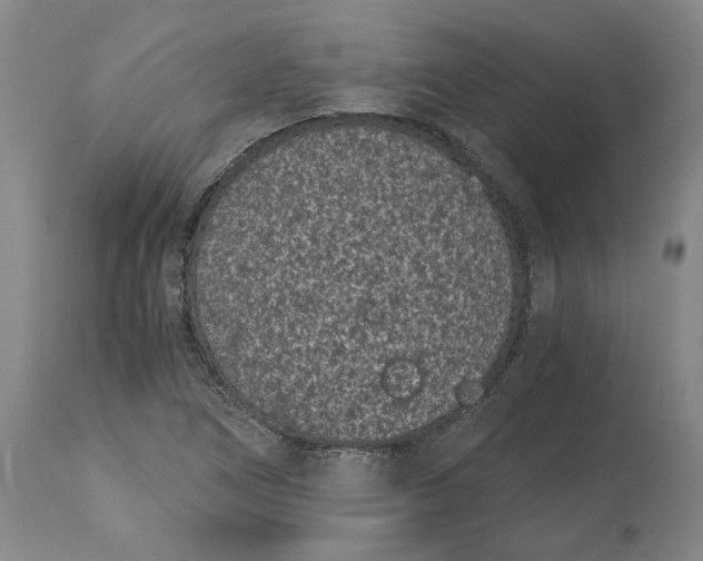 X0000115081266200911171145