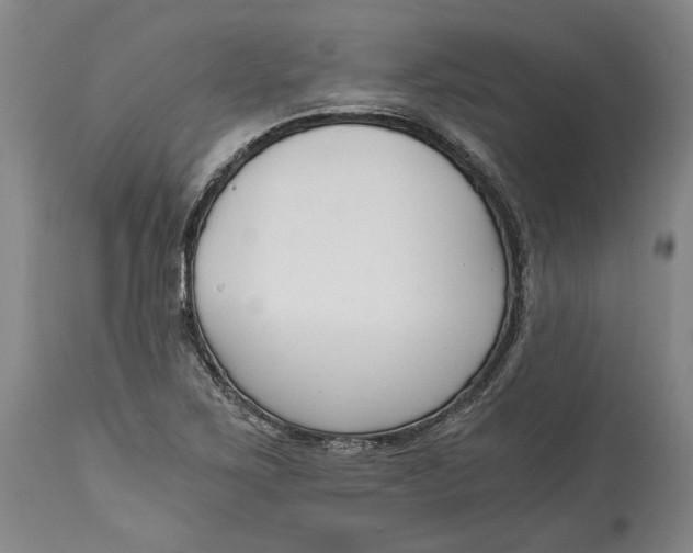 X0000115081267200911171145
