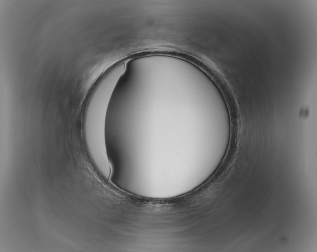X0000115081269200911171145